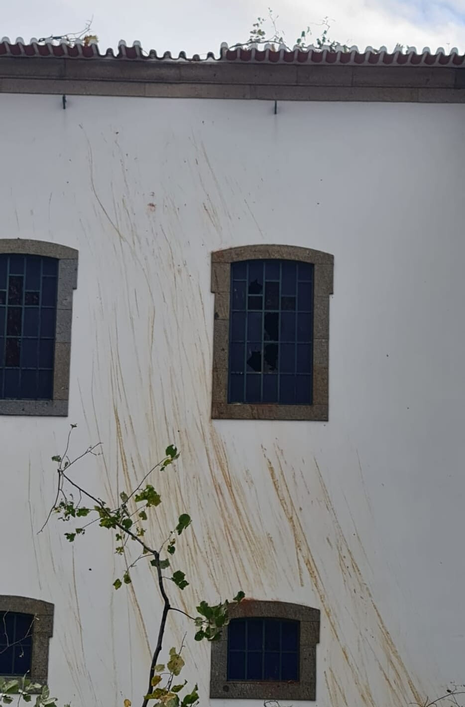 Rvore Tomba E Atinge Igreja Matriz De Vila Das Aves Santo Tirso Tv