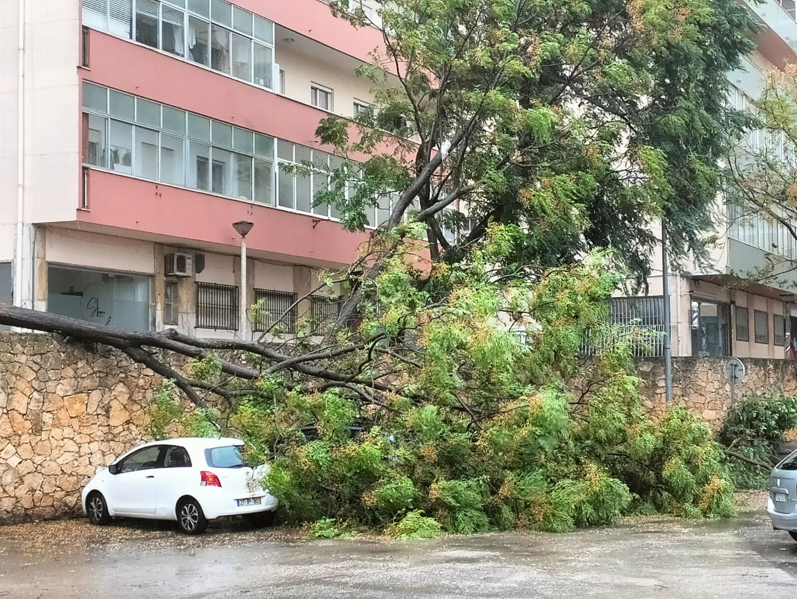 Mau Tempo Leva Ao Cancelamento De Sete Voos Em Faro