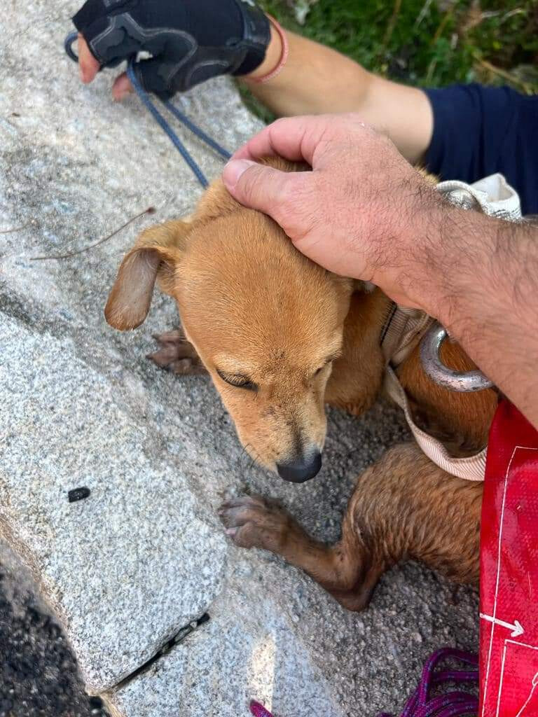 C O Resgatado De Mina De Gua Seis Metros De Profundidade Em Arcos