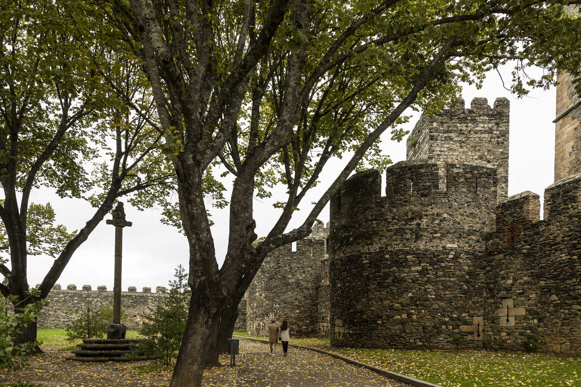 Autarquias torcem o nariz à nova gestão municipal de museus