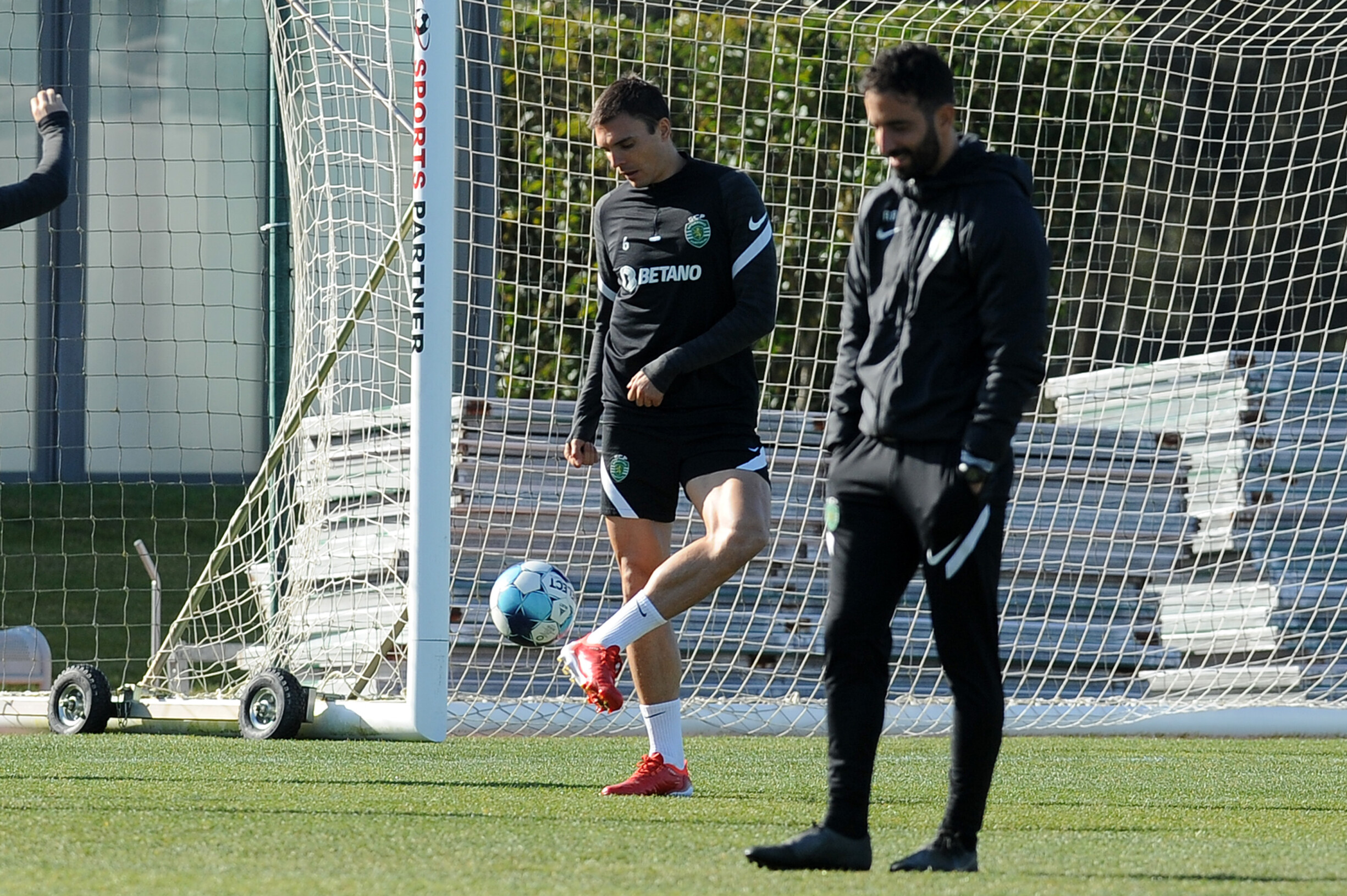 Palhinha Fala De Amorim E Da I Liga Ainda Ningu M Dominou O Sporting