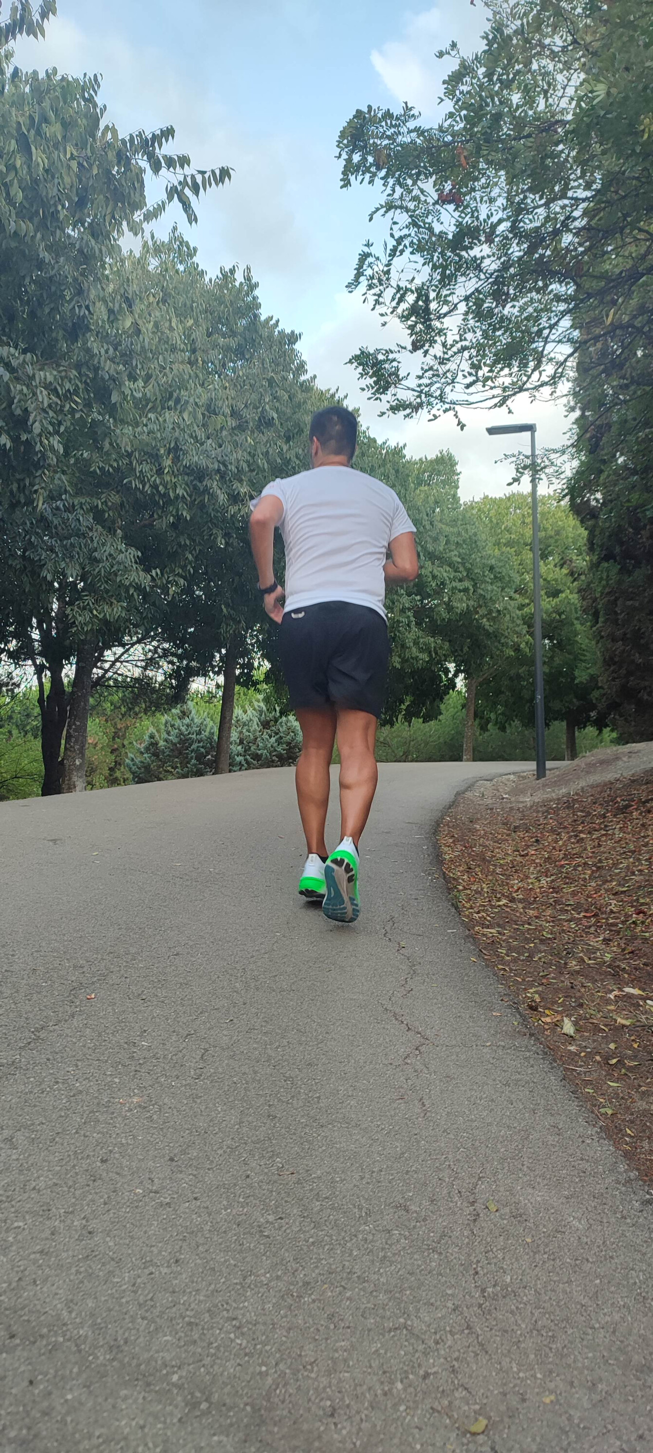 1722529545239 1722529545239