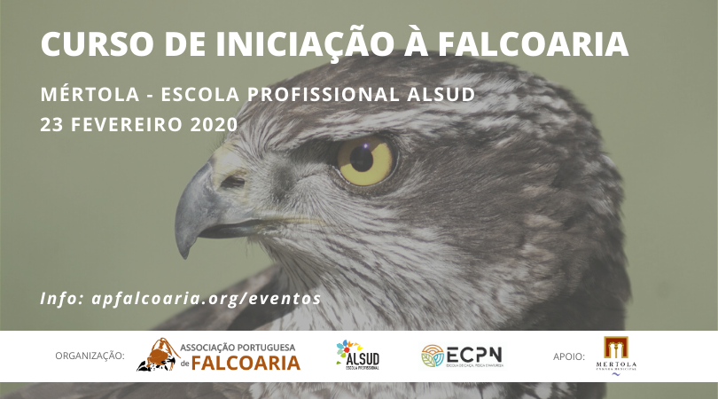Curso de Inicia&ccedil;&atilde;o_Mertola23Fev2020