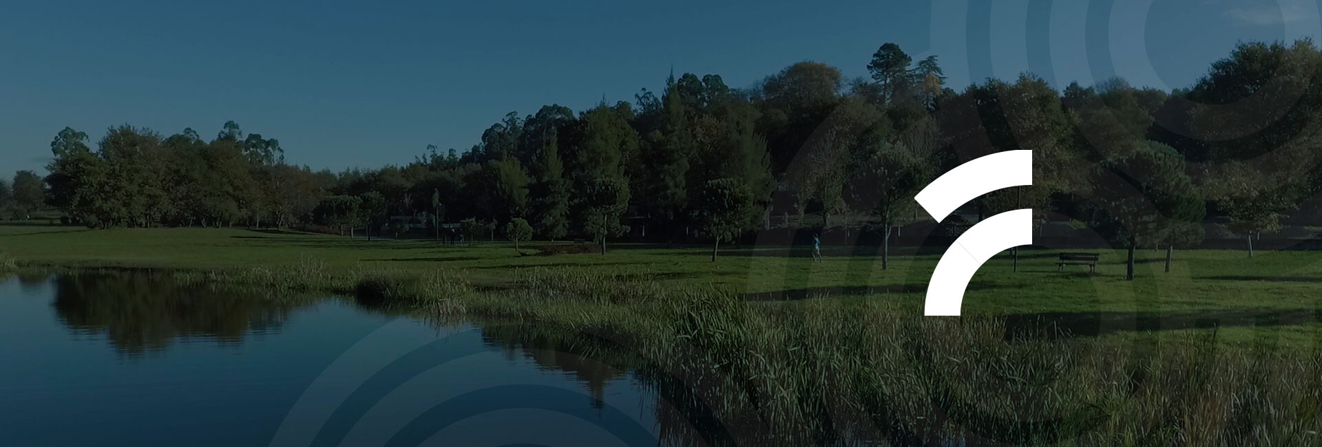 banner-highlight-1 banner-highlight-1