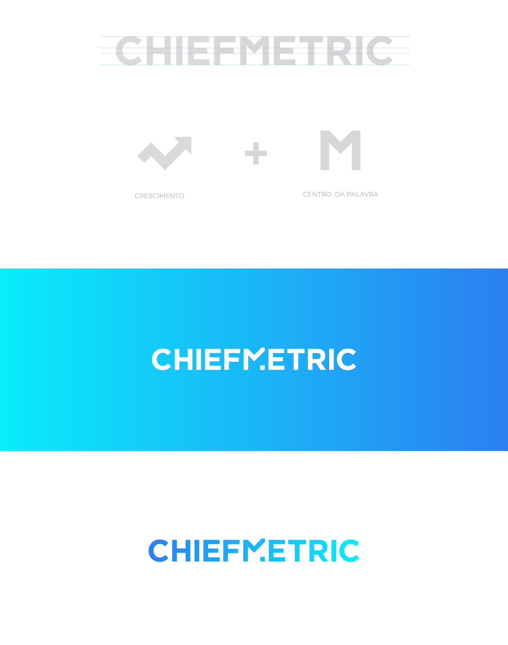 Chiefmetric-02 Chiefmetric-02