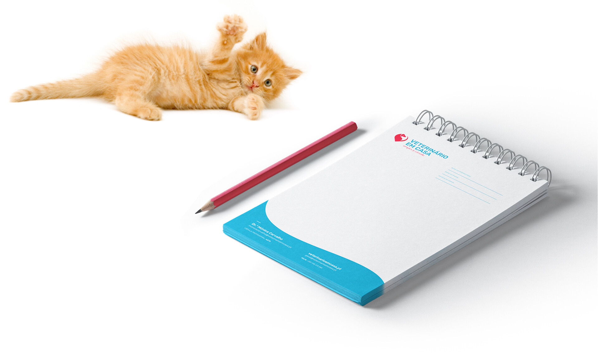 veterin&aacute;rio-em-casa-2