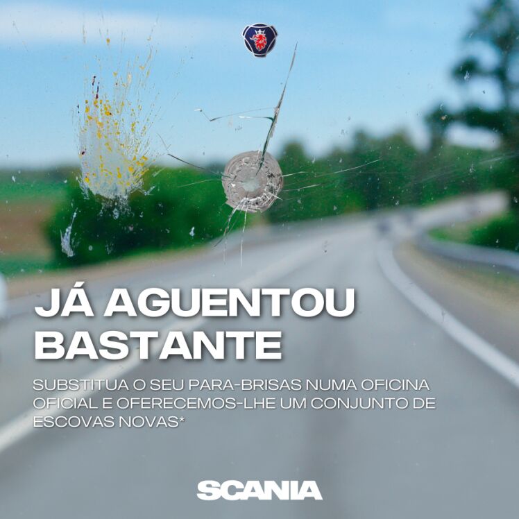 campanha para brisas