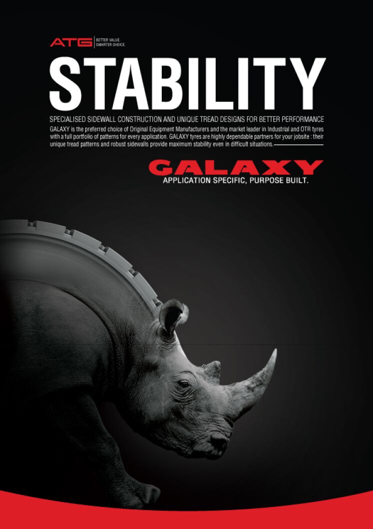 Estabilidade Rinoceronte