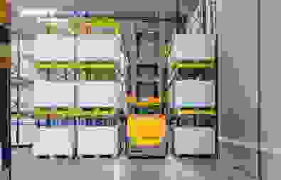 ---