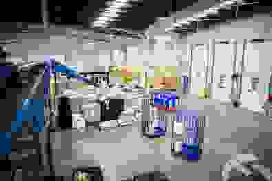 ---