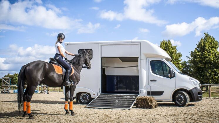 Opel Movano preparado pelos especialistas Lamar para o transporte de cavalos
