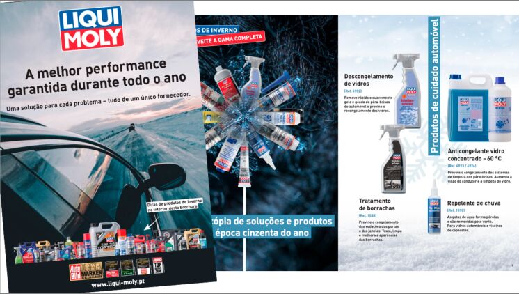 Pordutos de Inverno Liqui Moly