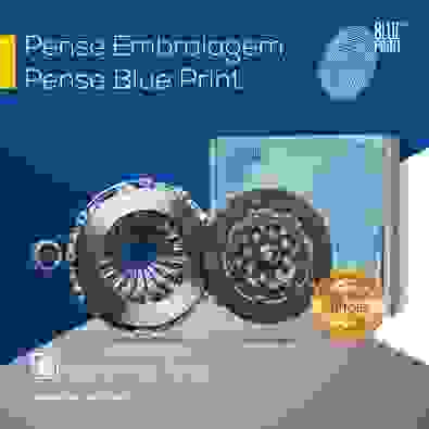 ---