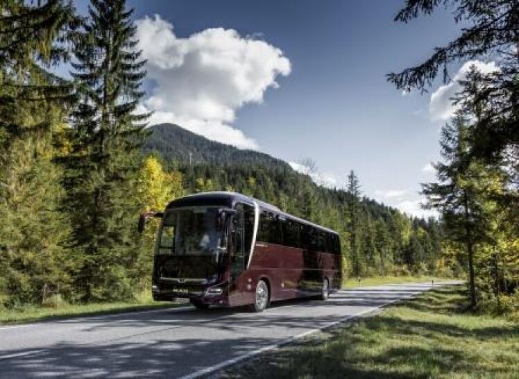 Lion's Coach