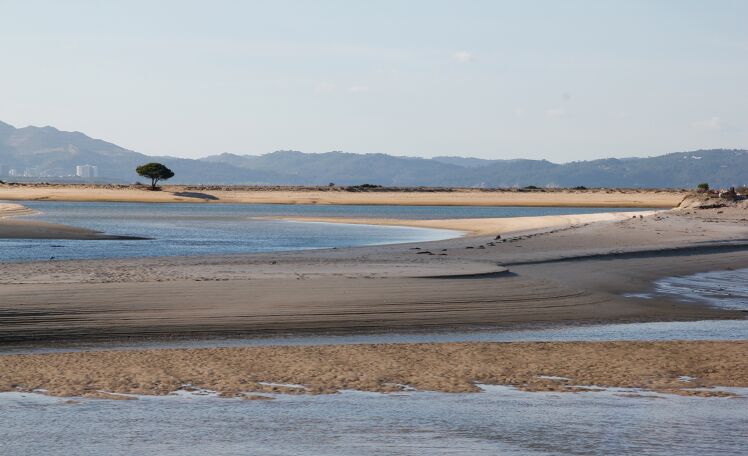 Porto_Setubal__MG_0742_A3JCB