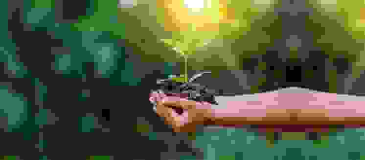 ---