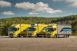 ---