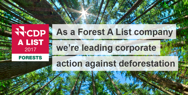 Forest A List Social