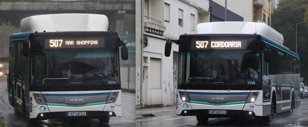 MAN+Bus+_+1