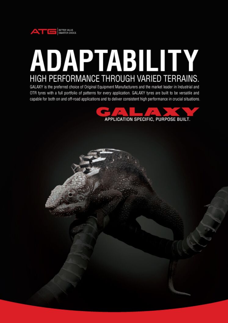 Adaptação Camaleão