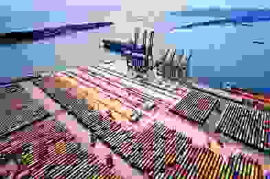 ---
