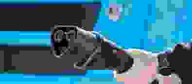 ---