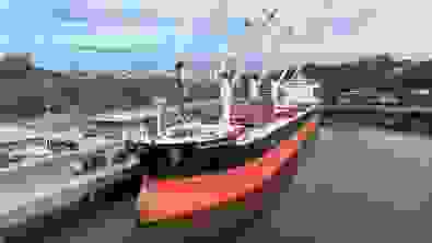 ---