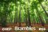 Brambles, CHEP & IFCO - Sustainability
