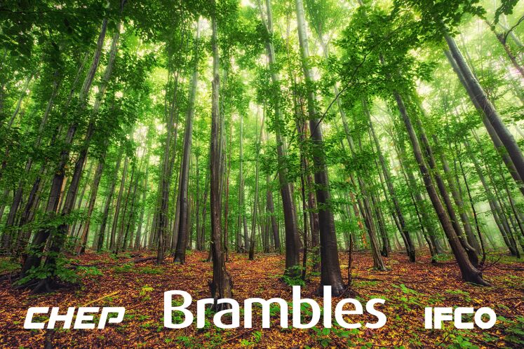 Brambles, CHEP & IFCO - Sustainability