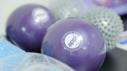 certificacao-matwork-appi-em-pilates-clinico-mw1-no-porto-jun