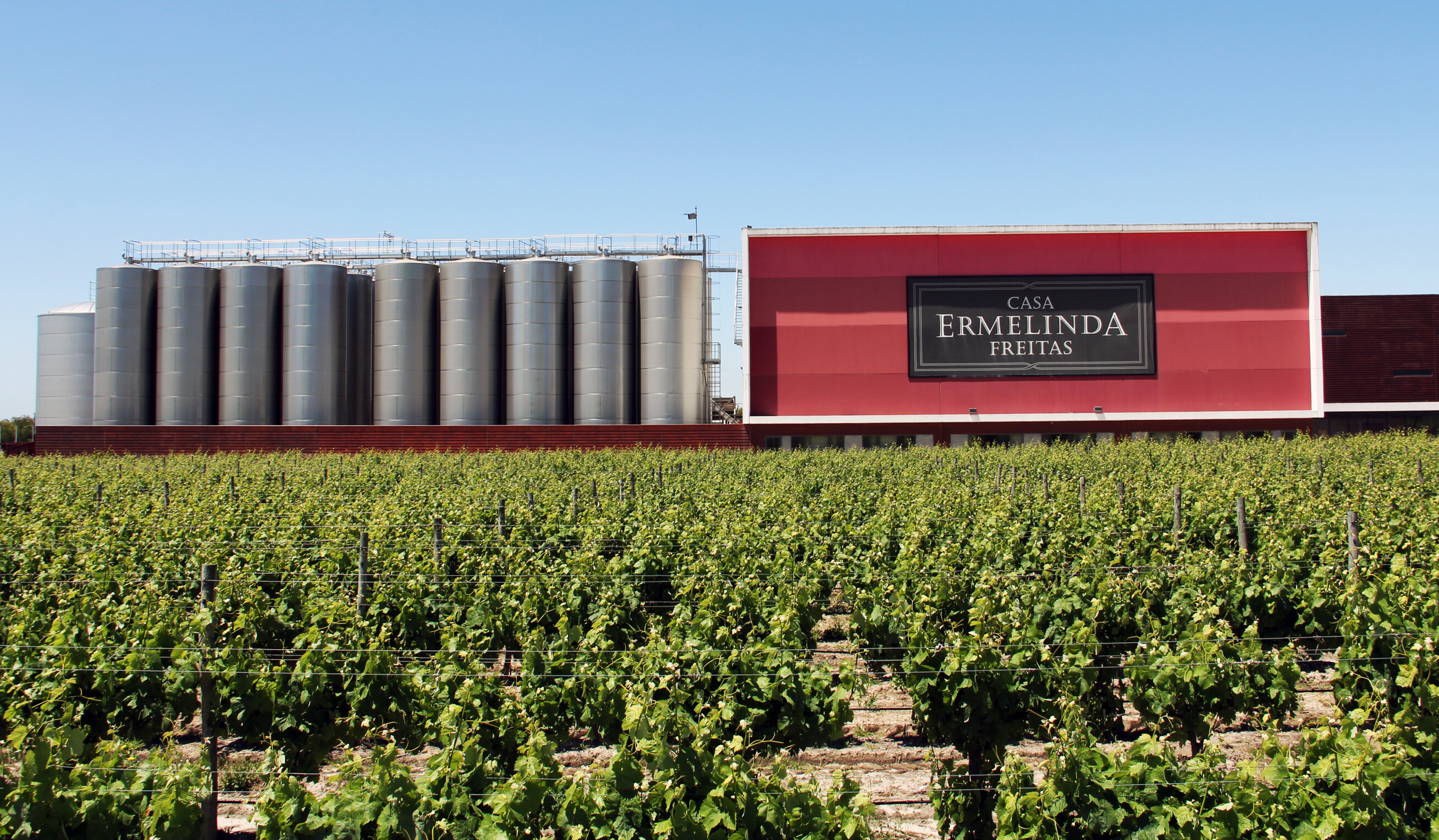 2014 - Casa Ermelinda Freitas won the award for Best Company by Revista de Vinhos I