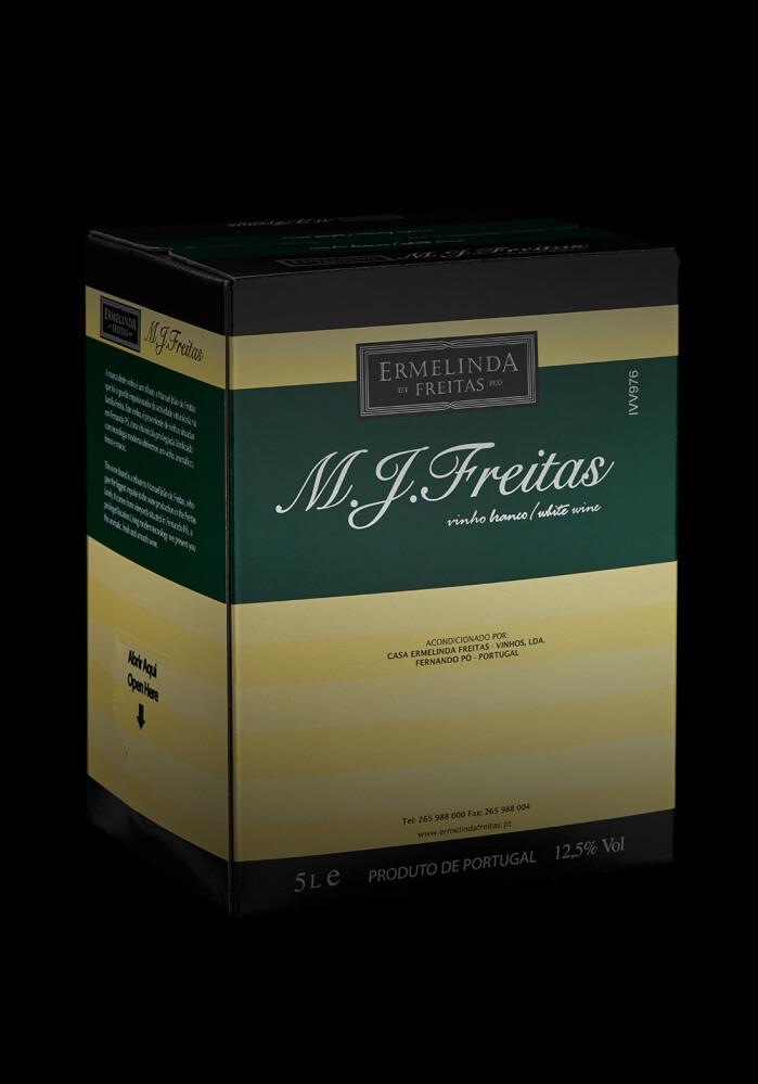 MJ Freitas Branco