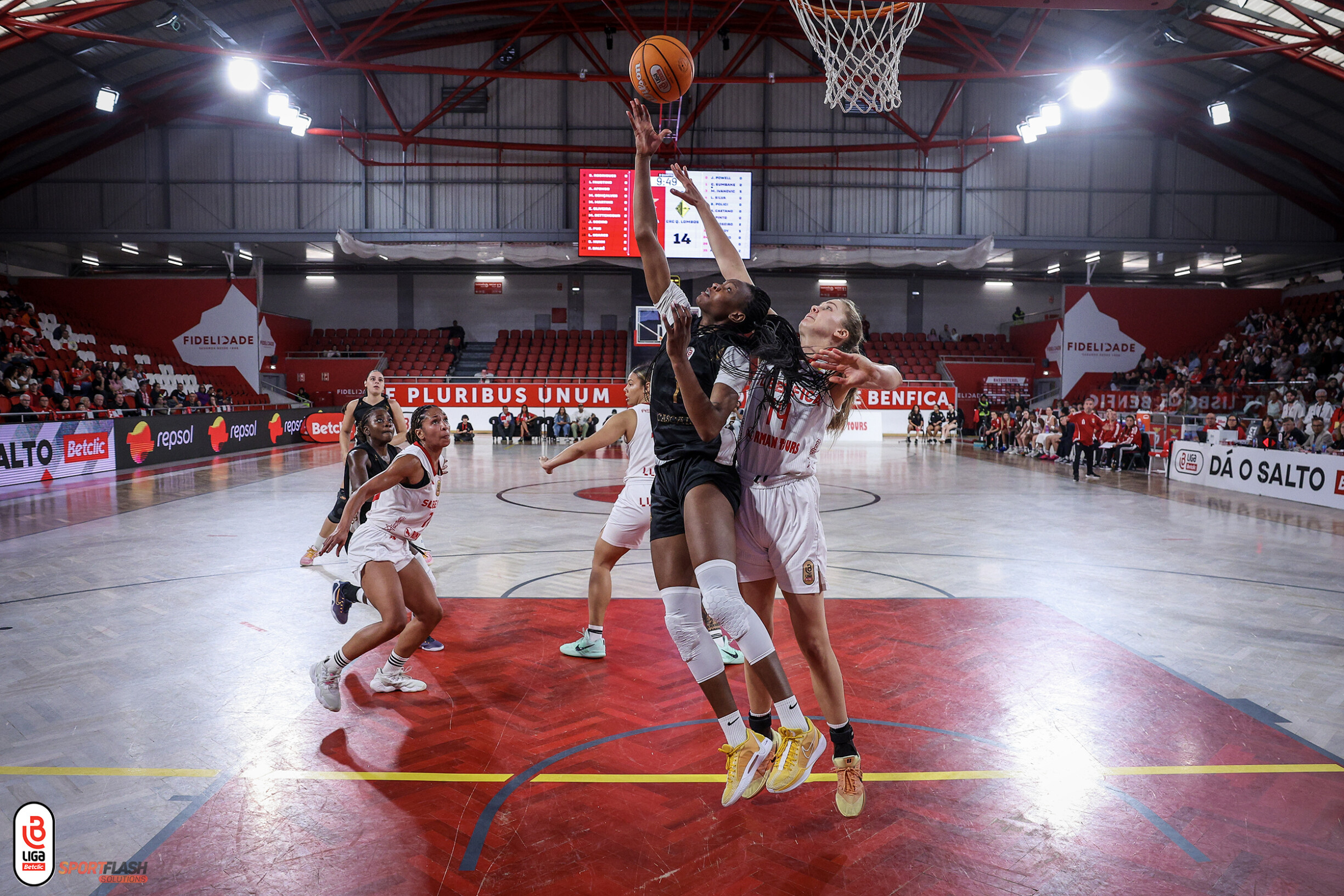 2wp28cpqqrt7.jpg