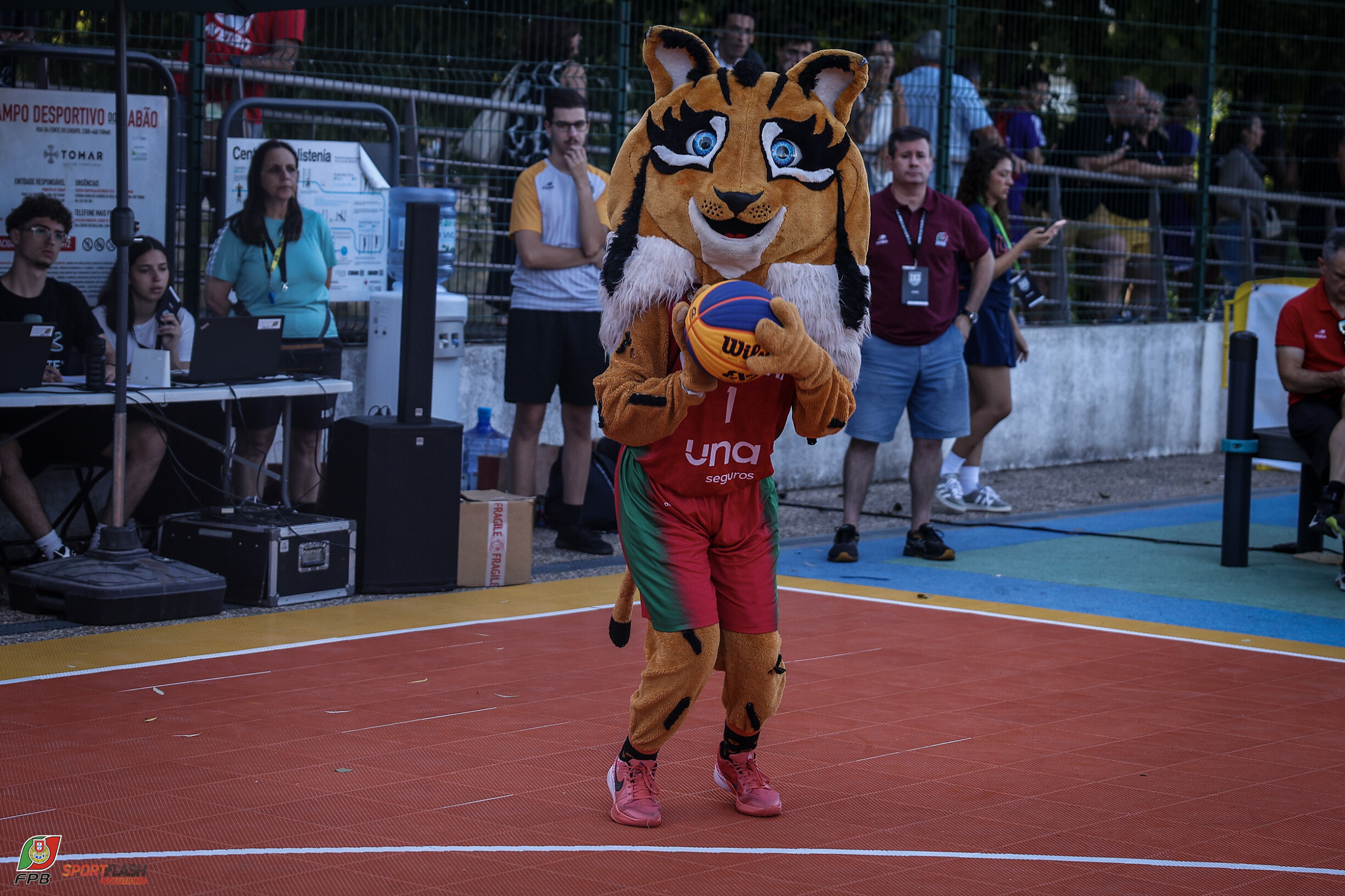 66tcsgp3qt71.jpg