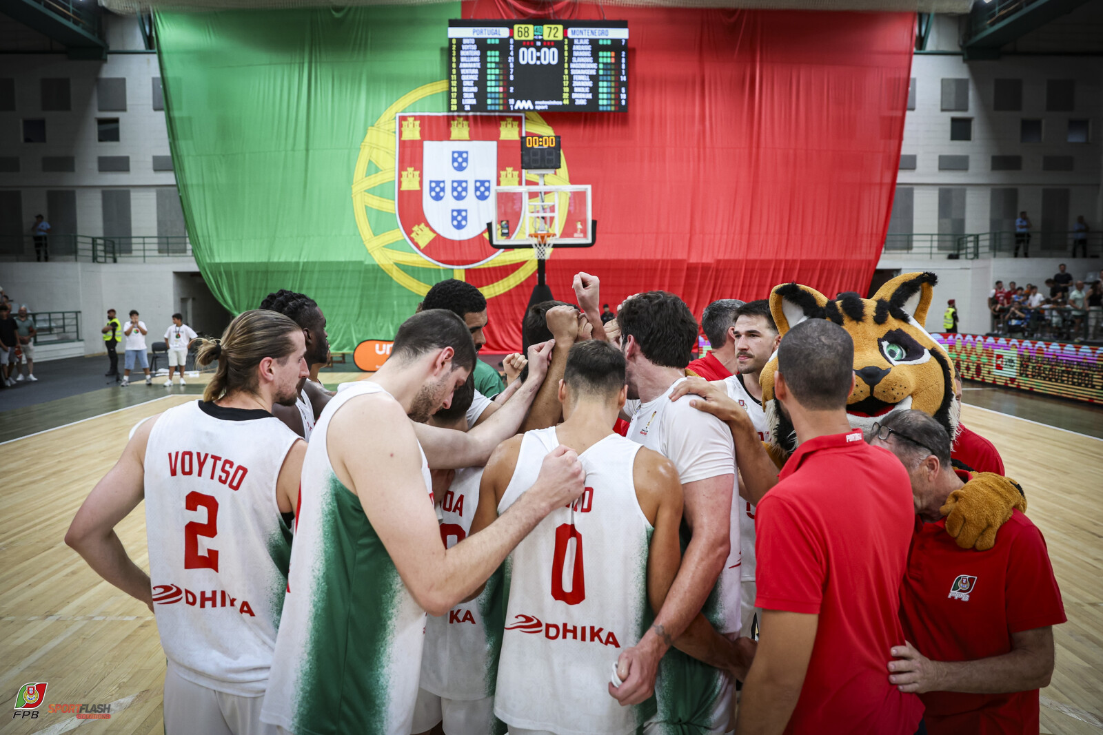  9duunfp6xu9e.jpg
