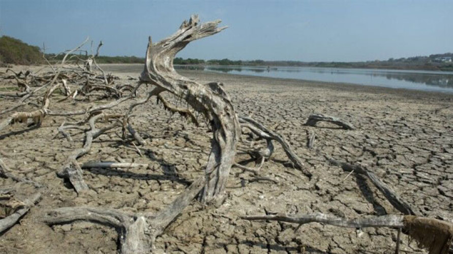 fenomeno-climatico-el-nino-pode-fazer-de-2015-um-ano-ainda-mais-quente