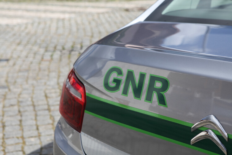 gnr-fiscaliza-mais-de-41-mil-condutores-por-uso-do-cinto-de-seguranca