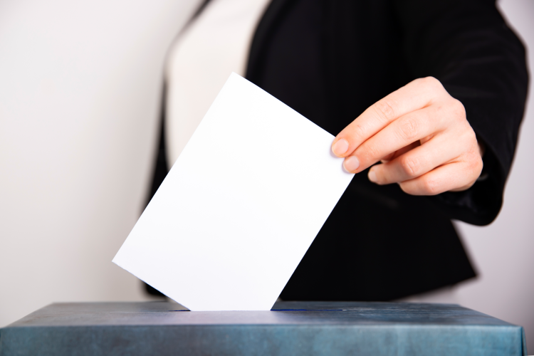 mais-de-112-mil-eleitores-ja-pediram-voto-antecipado