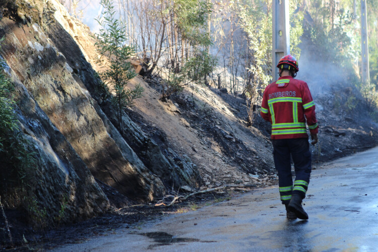 santo-tirso-registou-cerca-de-90-ocorrencias-de-incendio-desde-janeiro