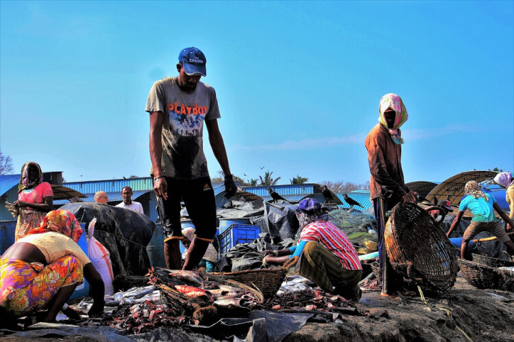 covid-19-ineficacia-no-3-mundo-pode-tornar-obsoletas-atuais-vacinas