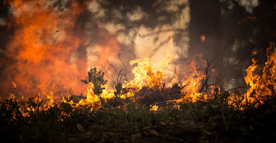 primeiros-oito-meses-de-2019-com-menos-43-de-incendios-rurais
