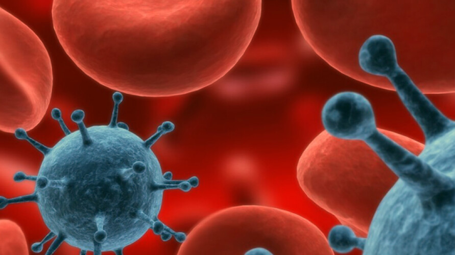 catalaes-descobrem-virus-que-combate-o-cancro