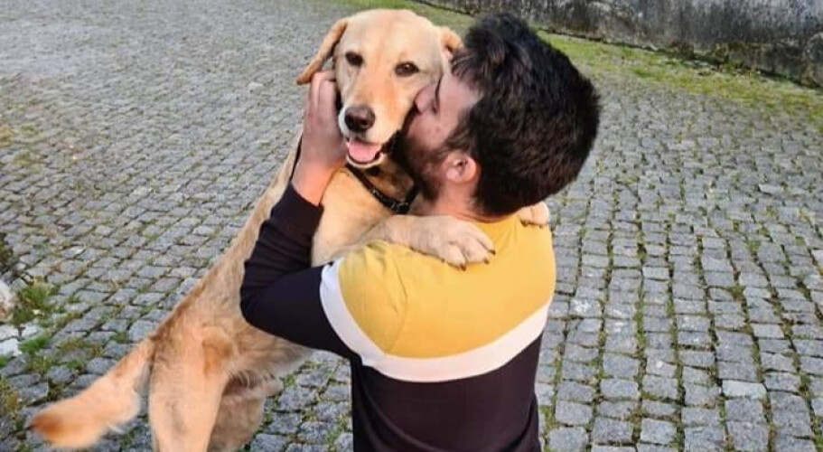 dono-reencontra-cao-4-anos-depois-de-ter-desaparecido