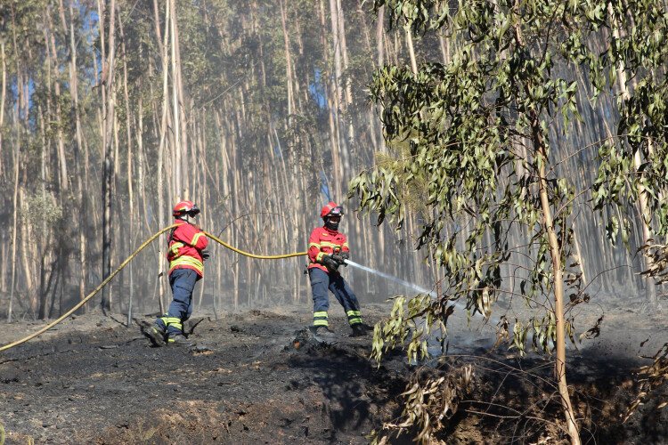 incendios-meios-de-combate-reduzidos-a-partir-de-quarta-feira