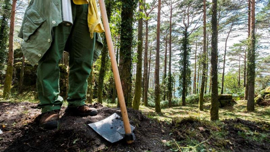 do-geres-para-o-pais-agentes-especiais-vao-proteger-floresta