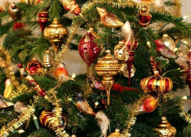 Em que dia deve montar a árvore de Natal? - Santo Tirso TV Em que dia deve montar a árvore de Natal? - Santo Tirso TV
