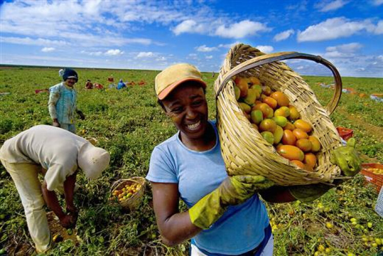 angola-investe-105-milhoes-de-euros-em-projeto-de-producao-agricola