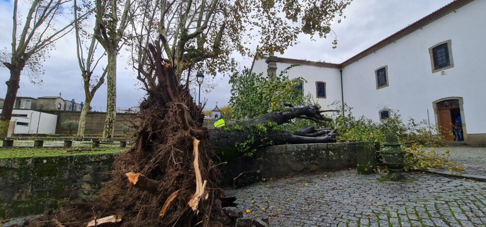 arvore-tomba-e-atinge-igreja-matriz-de-vila-das-aves