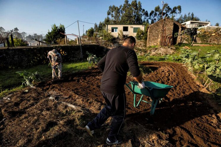 e-preciso-reaver-dois-milhoes-de-euros-dados-em-ajudas-a-agricultores