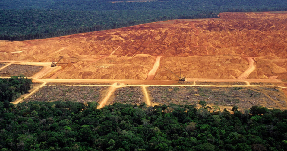 greenpeace-denuncia-aumento-acentuado-na-desflorestacao-da-amazonia